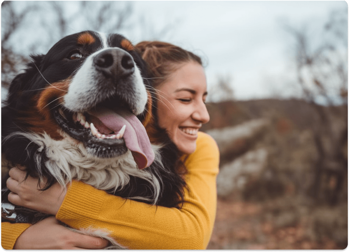 Miilo platform interface showing veterinary messaging and inquiry management